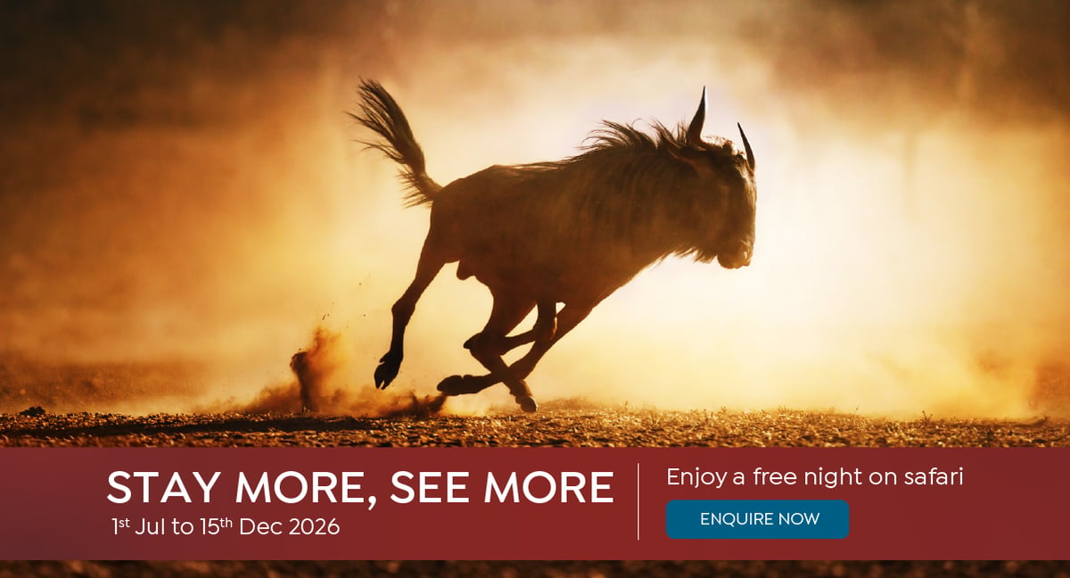 Free night@2x-post