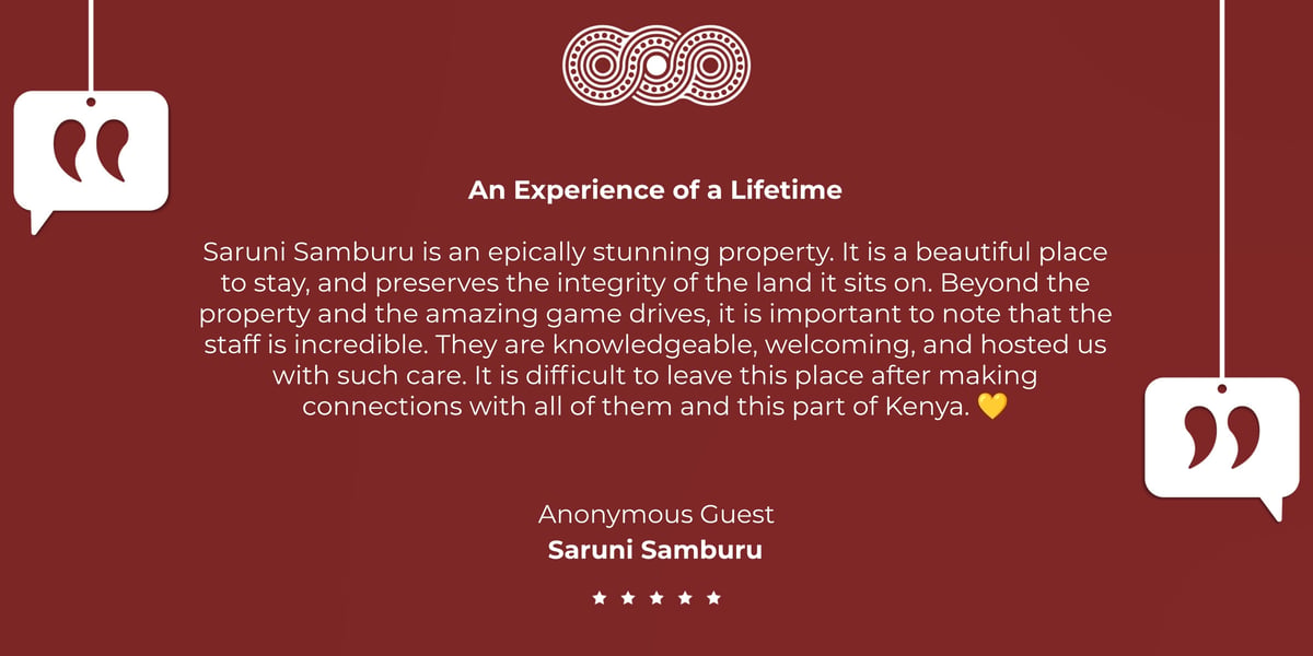 Guest review tile